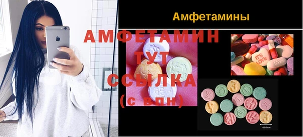 твердый Арсеньев