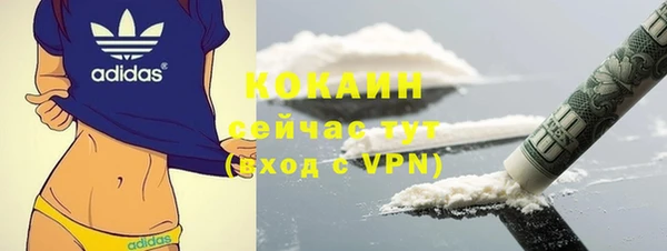 твердый Арсеньев