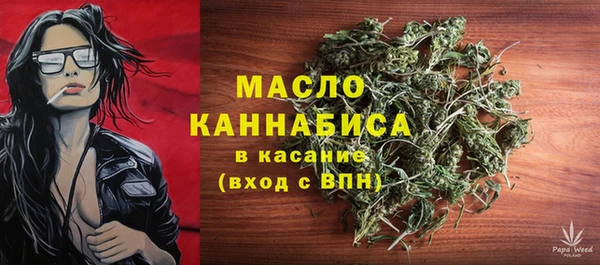твердый Арсеньев