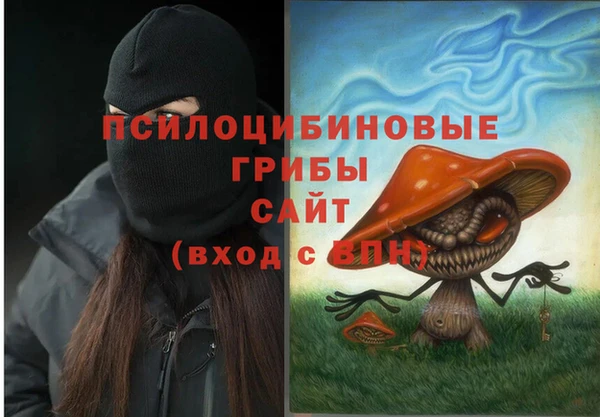 твердый Арсеньев