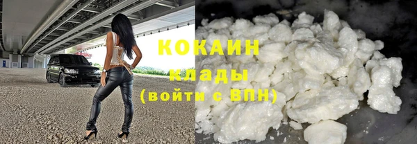 твердый Арсеньев