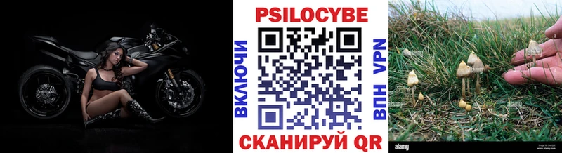 маркетплейс официальный сайт  Арск  Псилоцибиновые грибы Cubensis 